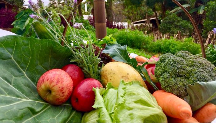  Paraná chega a 319 municípios integrados ao sistema nacional de segurança alimentar